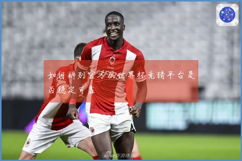 如何辨别官方买世界杯竞猜平台是否稳定可靠